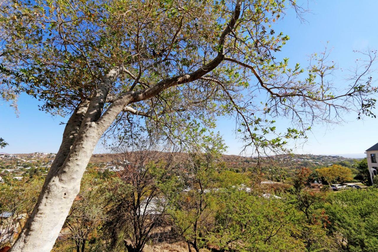 Herzinger Boutique Guesthouse Klein Windhoek Luaran gambar